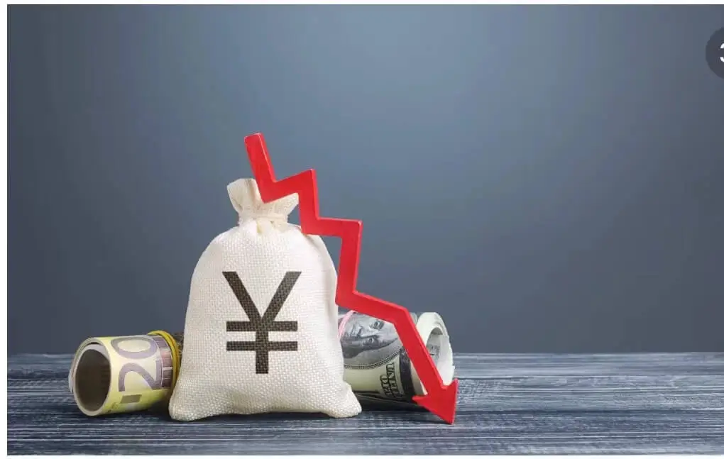 哪个小肉枣好吃