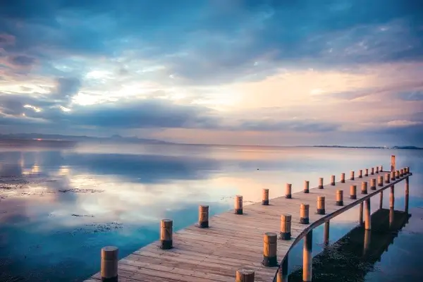 牛油和清油哪个更好吃