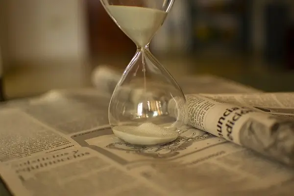 鸡哪个地方有营养