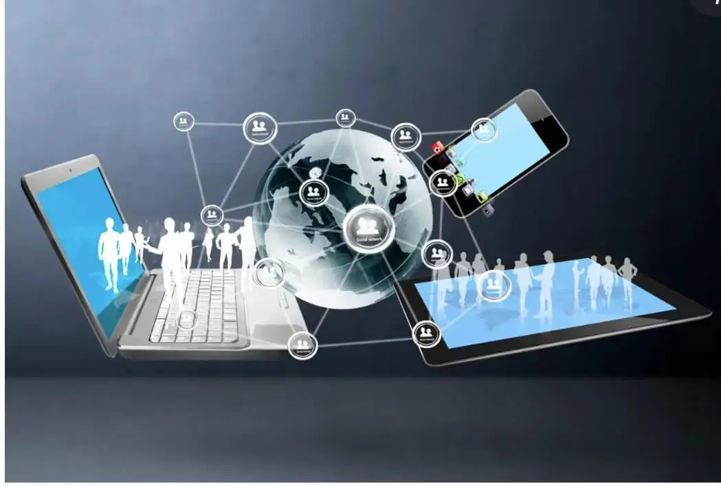 面包蟹 珍宝蟹 哪个贵