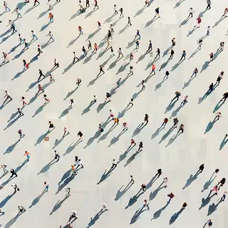 石鸡跟竹鸡哪个贵