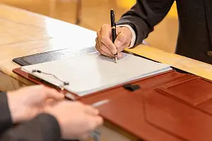 竹叶与苇叶哪个宽