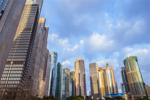 羊肉哪个部位做肉丸