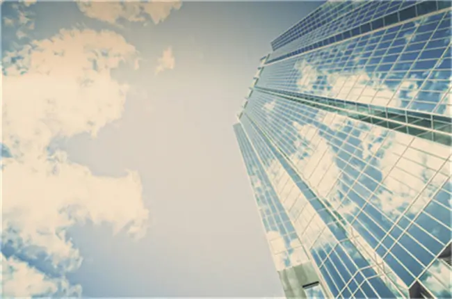 炒饭的老干妈用哪个