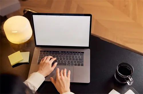 豇豆和茄子哪个好