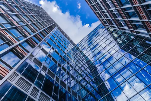 黑鱼和鲫鱼哪个补钙