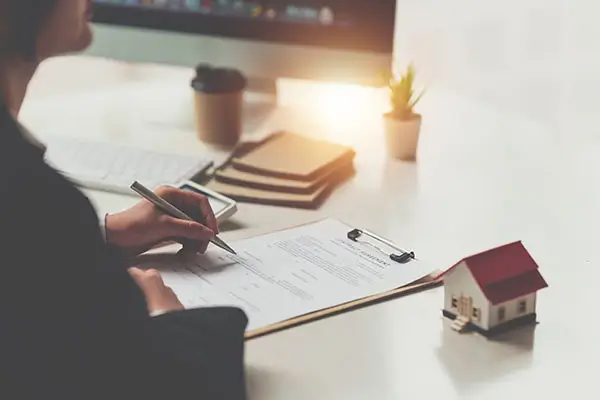 鸡哪个部位适合炖吃