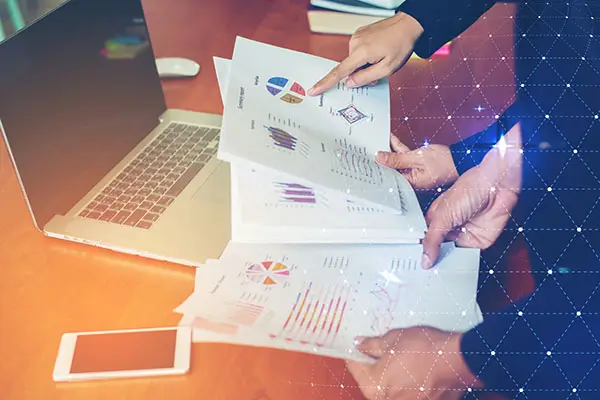 猪哪个部位肉最贵